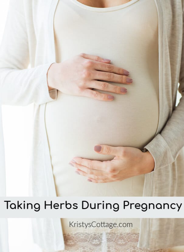 Taking Herbs During Pregnancy | Kristy's Cottage blog
